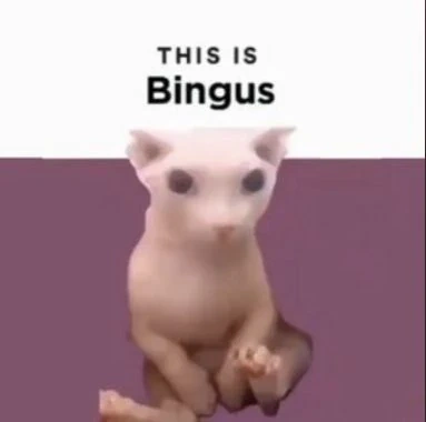 Bingus