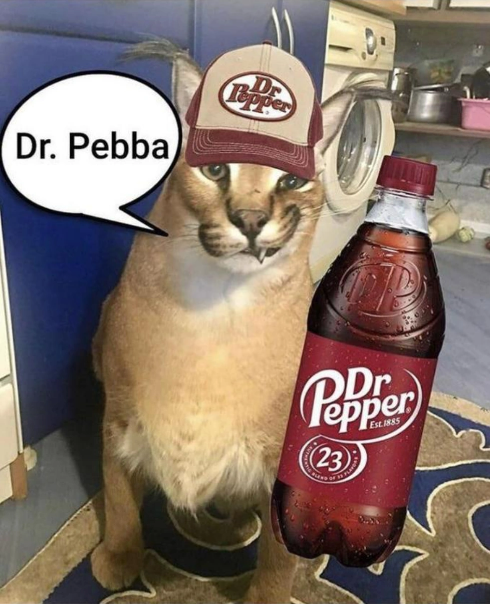 Dr Pebba