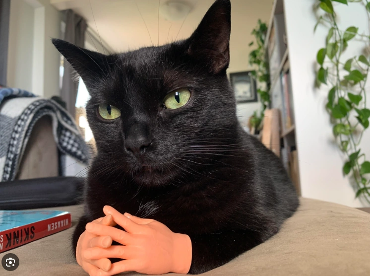 Ernesto