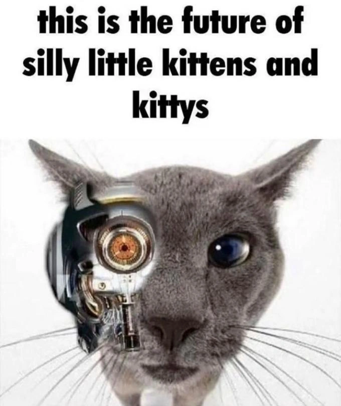 Future Kitty