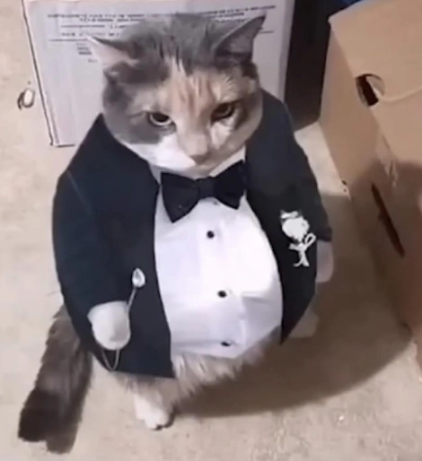 Gentleman