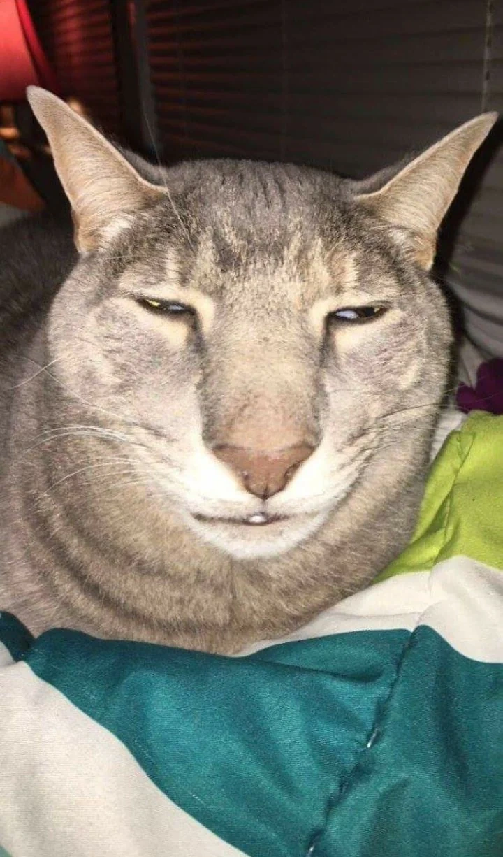 Goober the Tenth