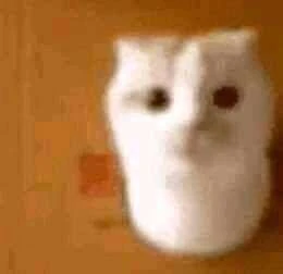 Hu Cat