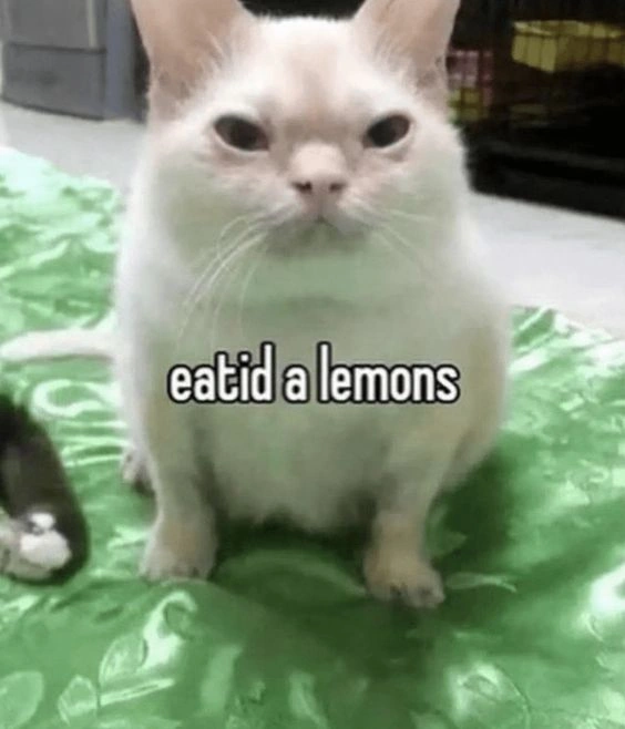 Kiw