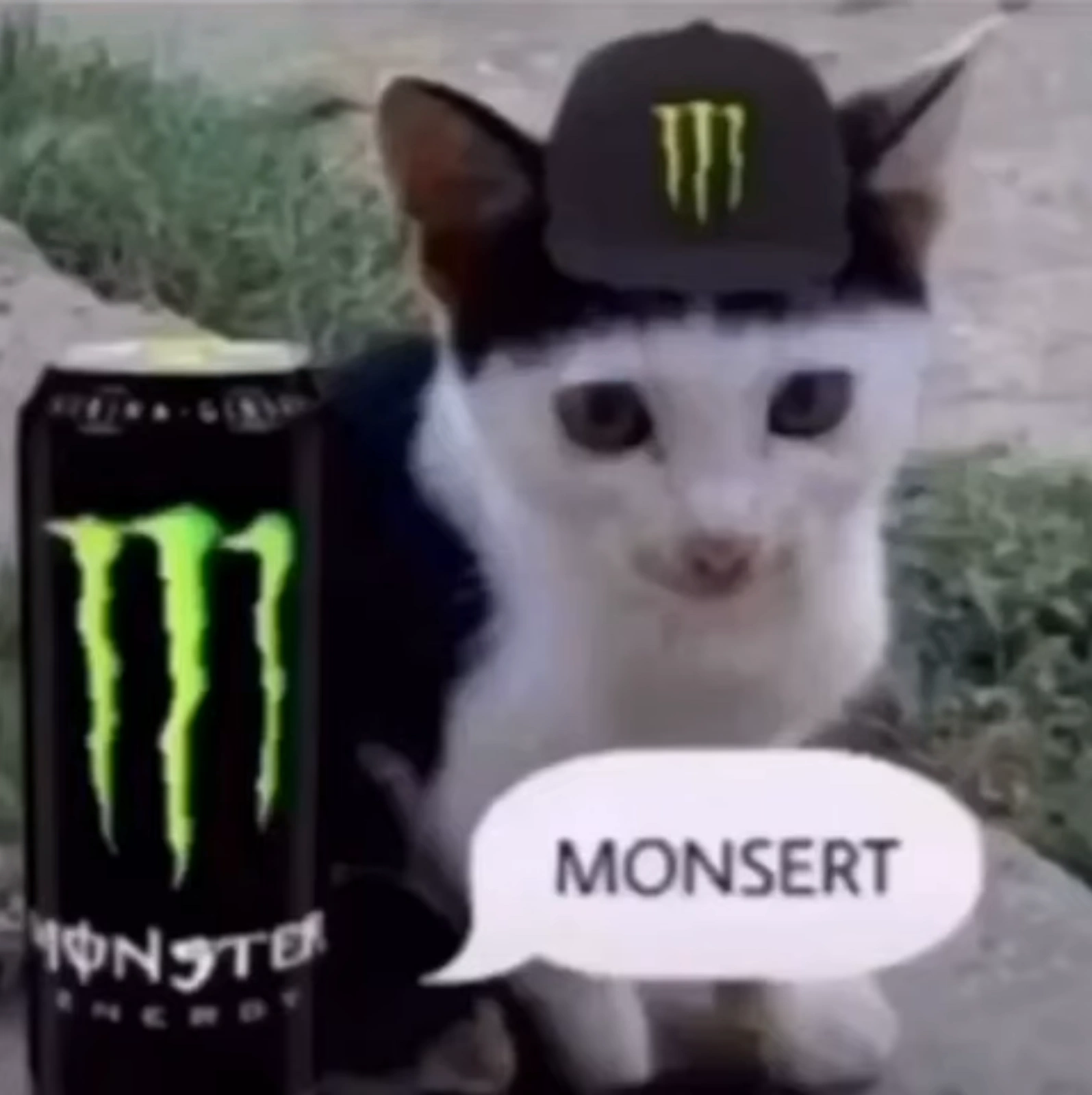 Monsert