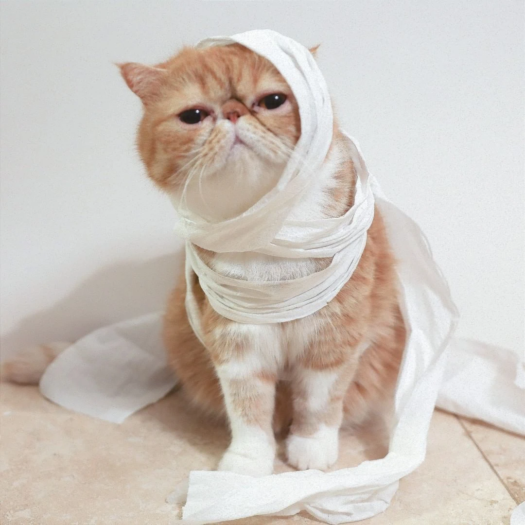Ramses