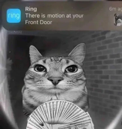 Richer Motion