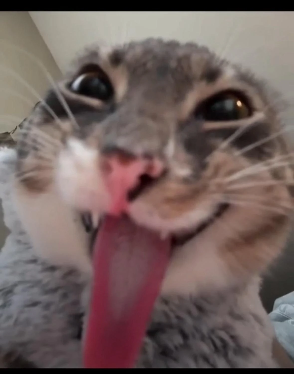Rigby