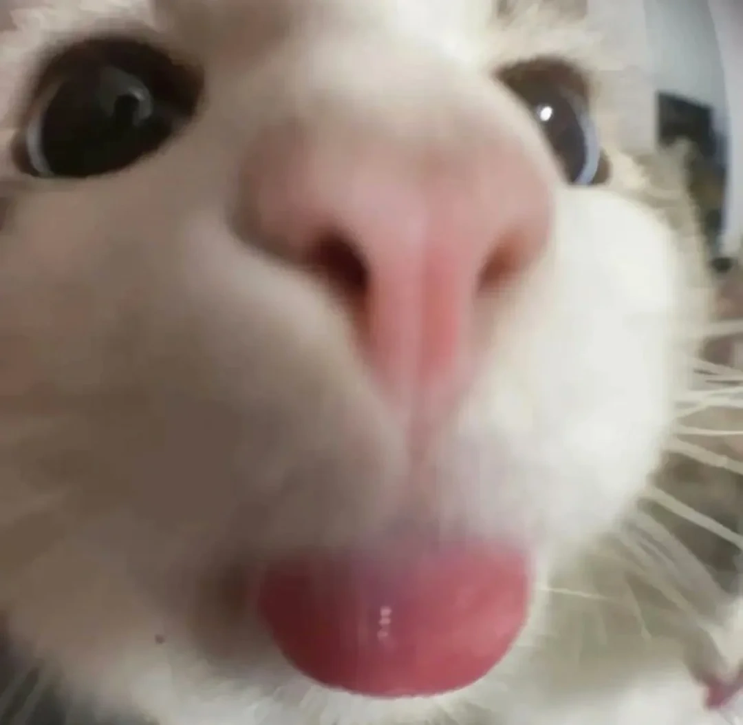 So Silly