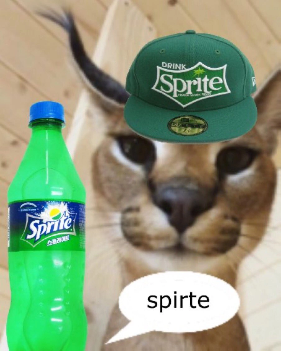 Spirte