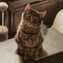 Terrance