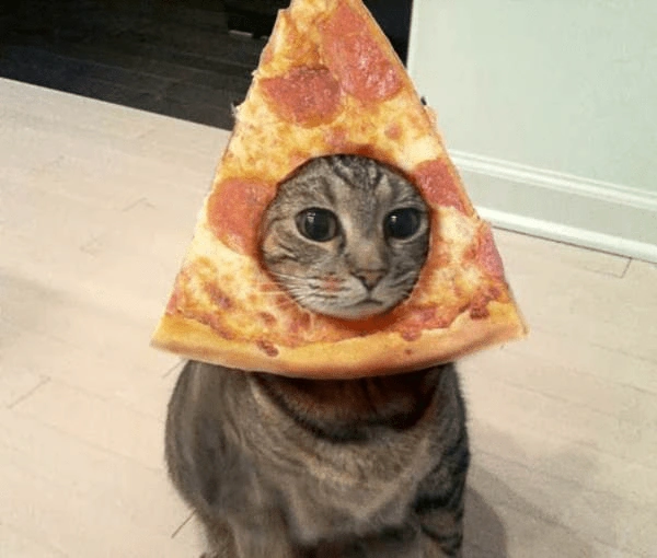 The Pizzer