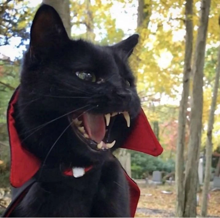 Vampirius