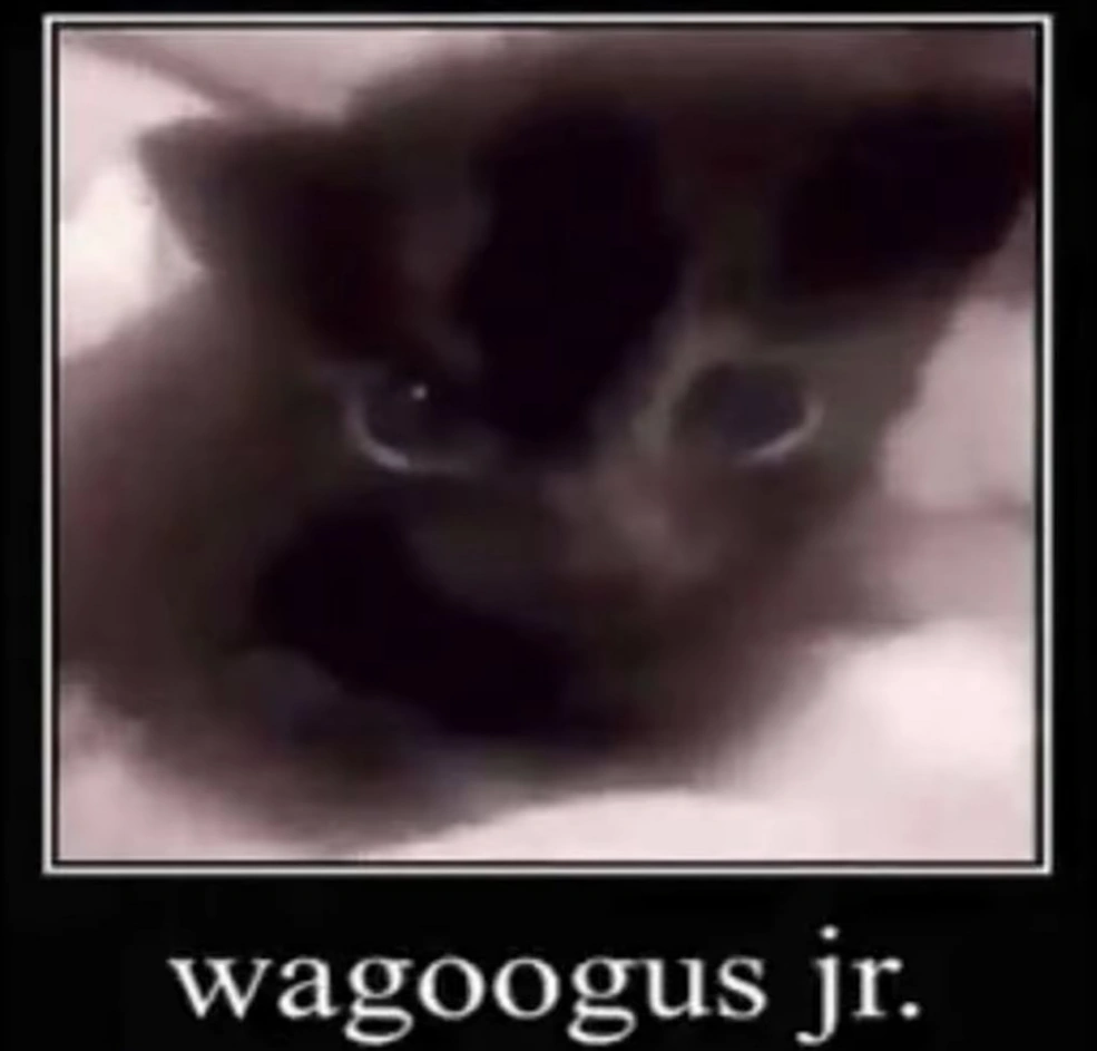 Wagoogus Jr.
