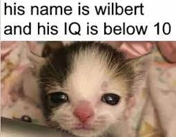 Wilbert