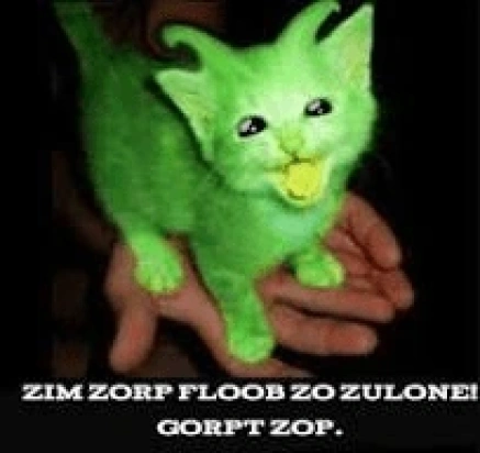 Zim Zorp
