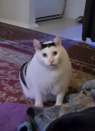 Ben