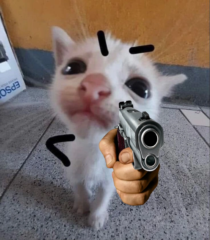 Bounty hunter cat
