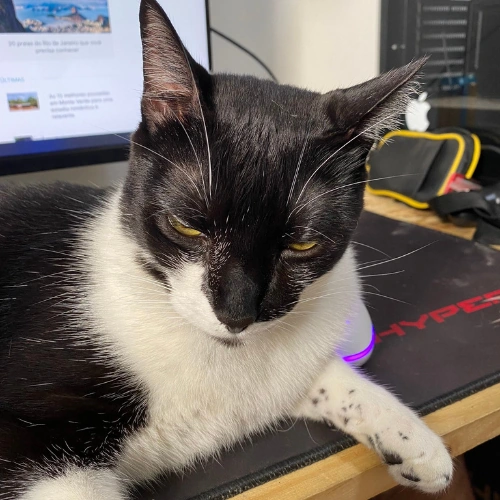 Gloober