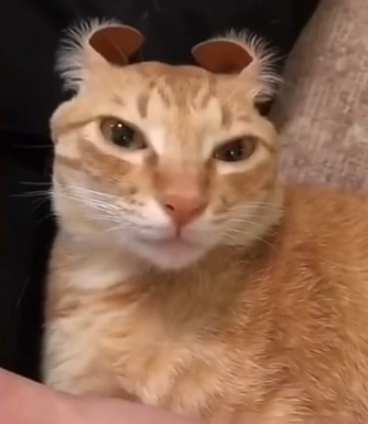Goofus