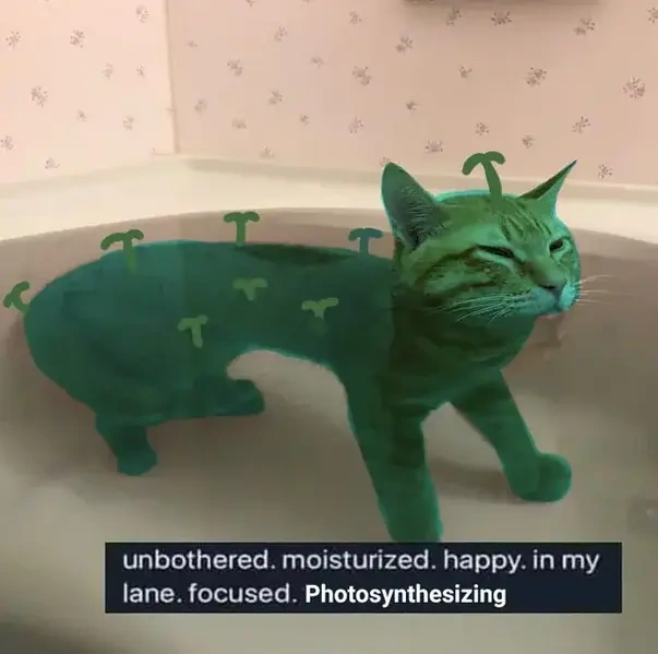 Photosynthesizing