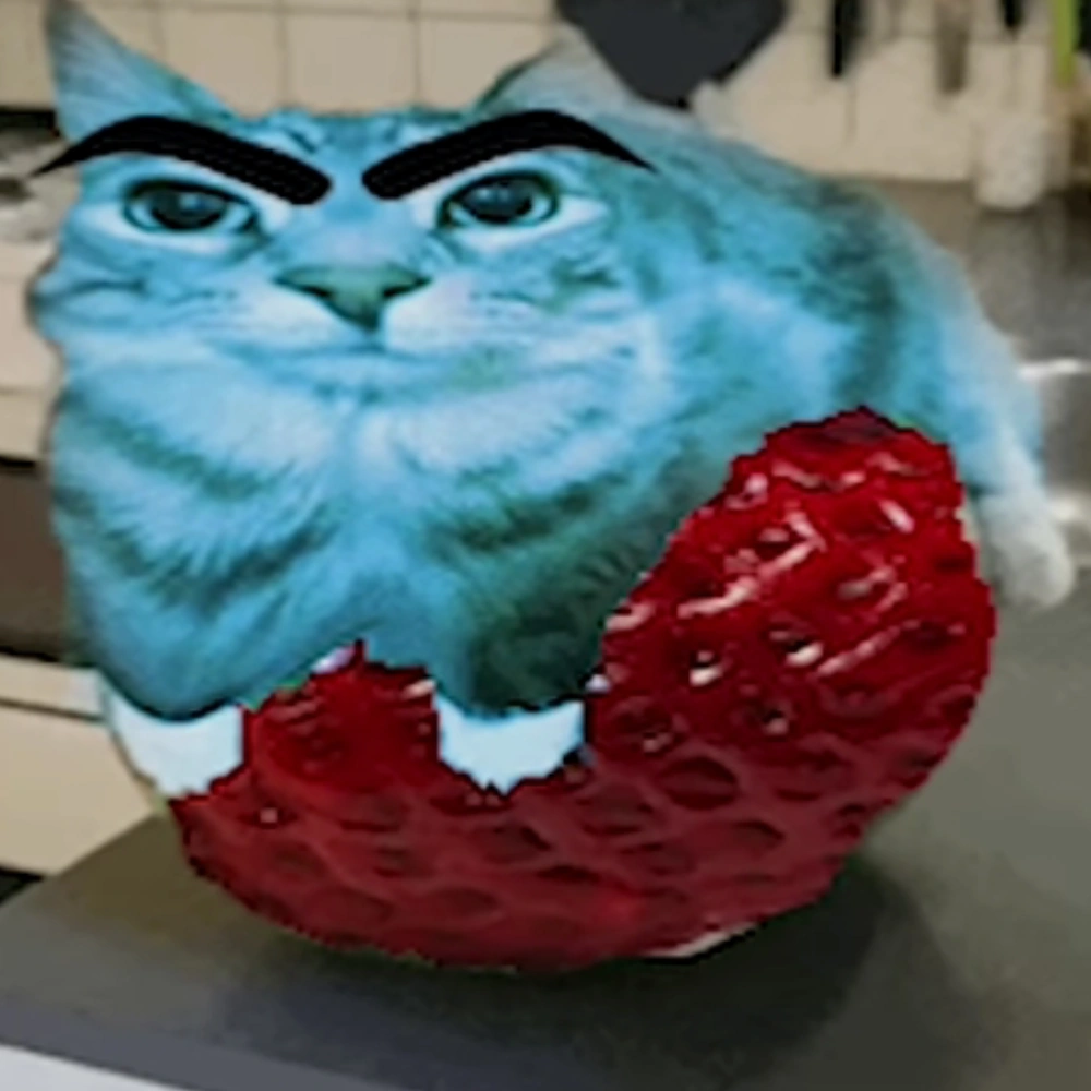Strawberry Cat